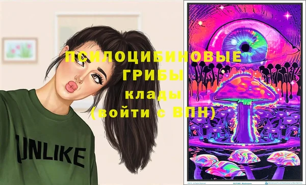дживик Арсеньев