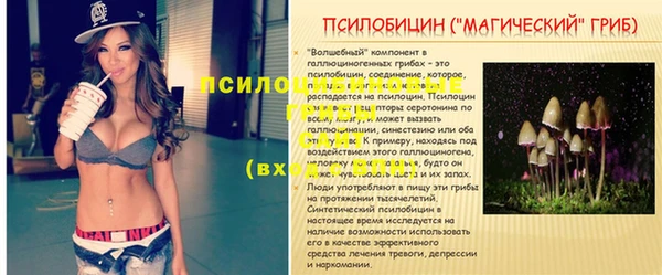бошки Армянск