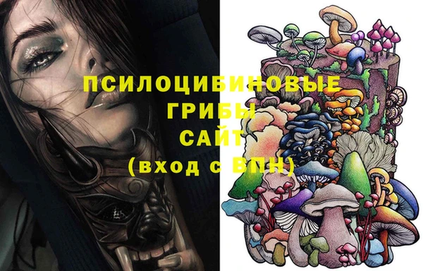 дживик Арсеньев