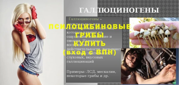 дживик Арсеньев