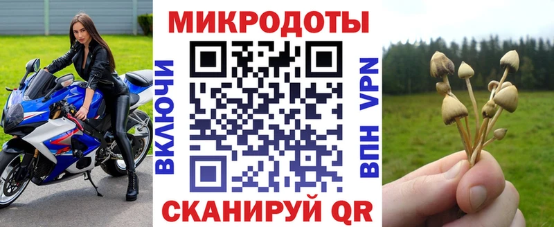 Псилоцибиновые грибы Magic Shrooms Купить Ершов